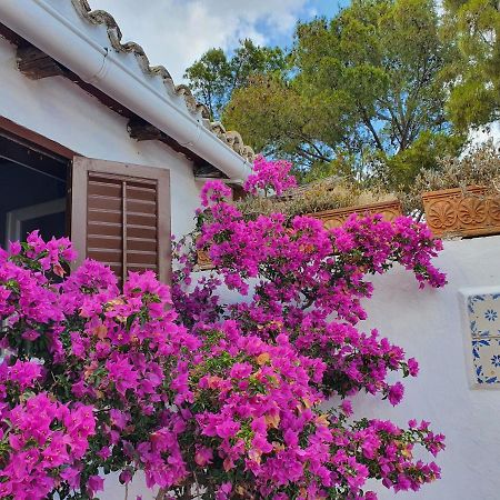 Villa Tonnara San Vito Lo Capo Kültér fotó