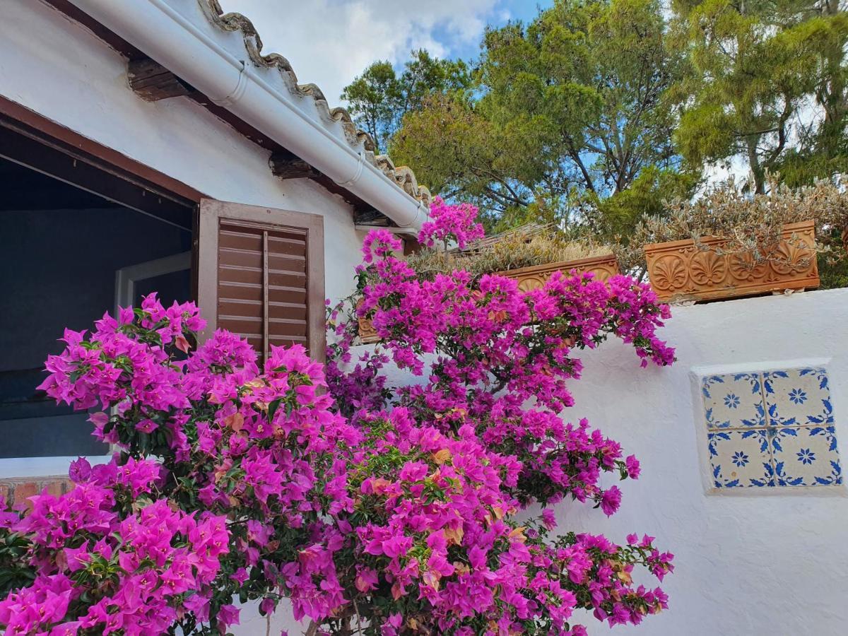 Villa Tonnara San Vito Lo Capo Kültér fotó